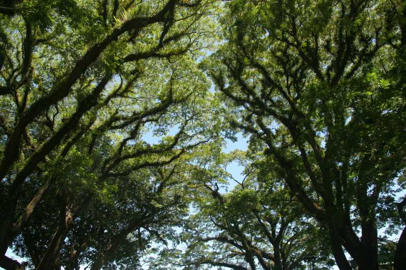 Sblocca il tuo potenziale di&nbsp;crescita